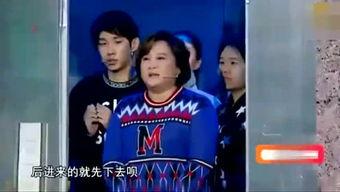 娱乐综艺吃瓜仔小说