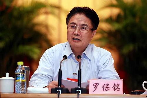 罗保铭 背景
