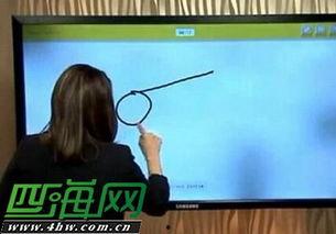 美女主播主播生殖器